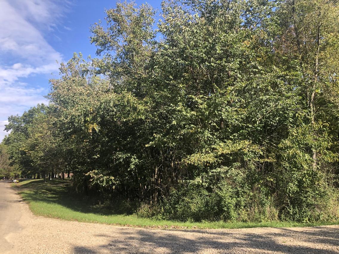 132 Lake Thunderbird Dr., Lake Thunderbird, IL 61560