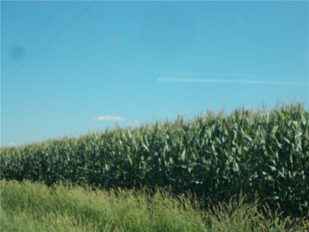 1050 400 North Rd., Herrick, IL 62431