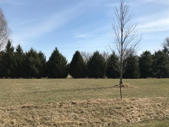 461 Sir Lawrence Ln., Dixon, IL 61021