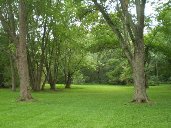 12125 S 88th Ave., Palos Park, IL 60464