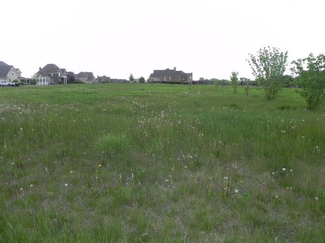 Lot 15 Blackberry Crossing, Elburn, IL 60119