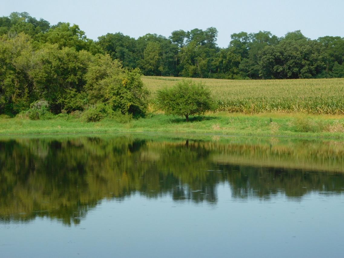 TBD E Read Rd., Elizabeth, IL 61028