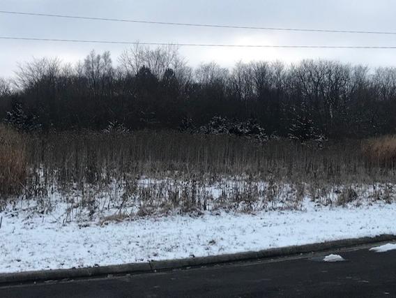 Lot 16 Liberty Ct., Dixon, IL 61021