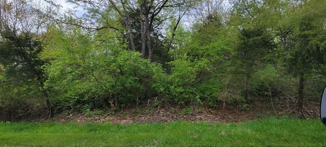 303 Platte Dr., Dixon, IL 61021