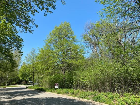 849 Fox Trail Ct., Lake Forest, IL 60045