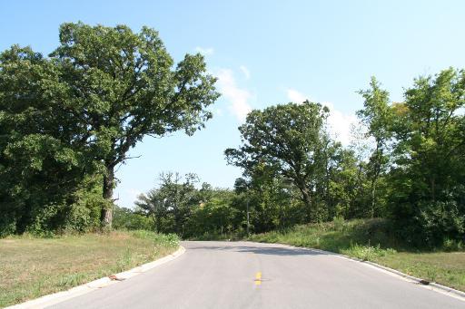 LT#17A Oak Grove Ct., Morris, IL 60450