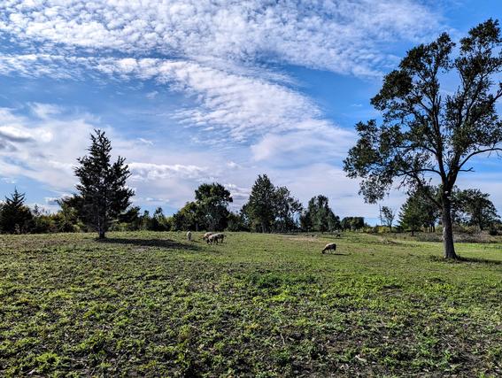 New Homes on 1+ Acres For Sale This Week in Woodstock: April 12th to April 18th