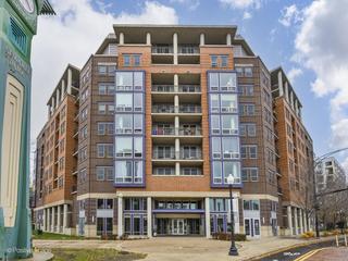 437 W Division St. #505, Chicago, IL 60610