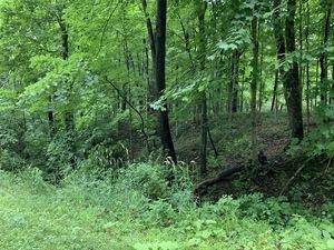 26 Skinner Dr., Putnam, IL 61560