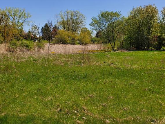 LOT 81 N Delany Rd., Wadsworth, IL 60083