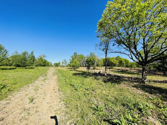 Il Route 47, Woodstock, IL 60098