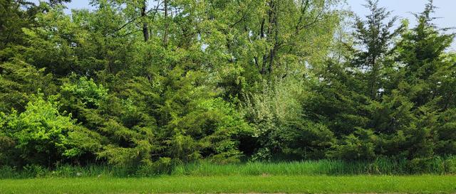 414 Des Moines Ln., Dixon, IL 61021