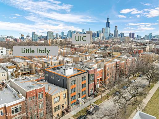 1336 W Grenshaw St. #2E, Chicago, IL 60607