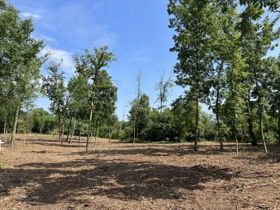 LOT 25423- W North Hill Dr., North Barrington, IL 60010