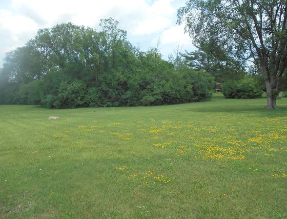 420 Oak Brook Rd., Oak Brook, IL 60523