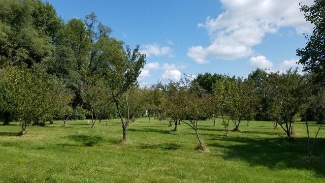 5548 W Heatherbrook Tr., Monee, IL 60449