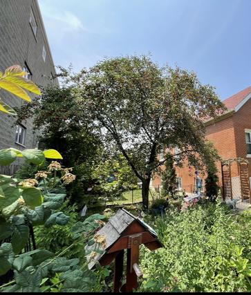 2037 W Huron St., Chicago, IL 60612