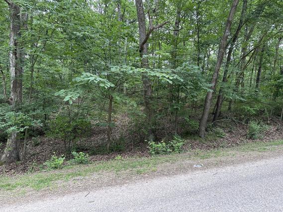 New Homes For Sale This Week in Dixon: June 30th to July 6th