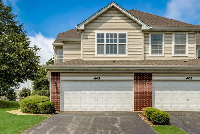 603 Esla Ct., Naperville, IL 60563