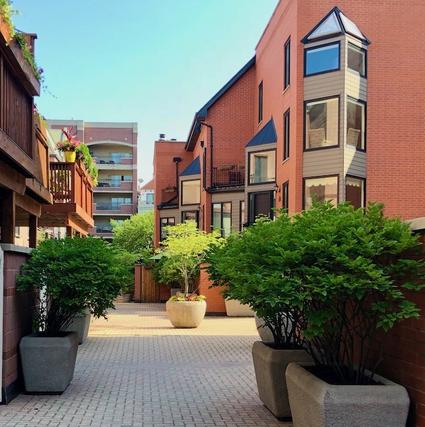 1612 N Saint Michaels Ct., Chicago, IL 60614