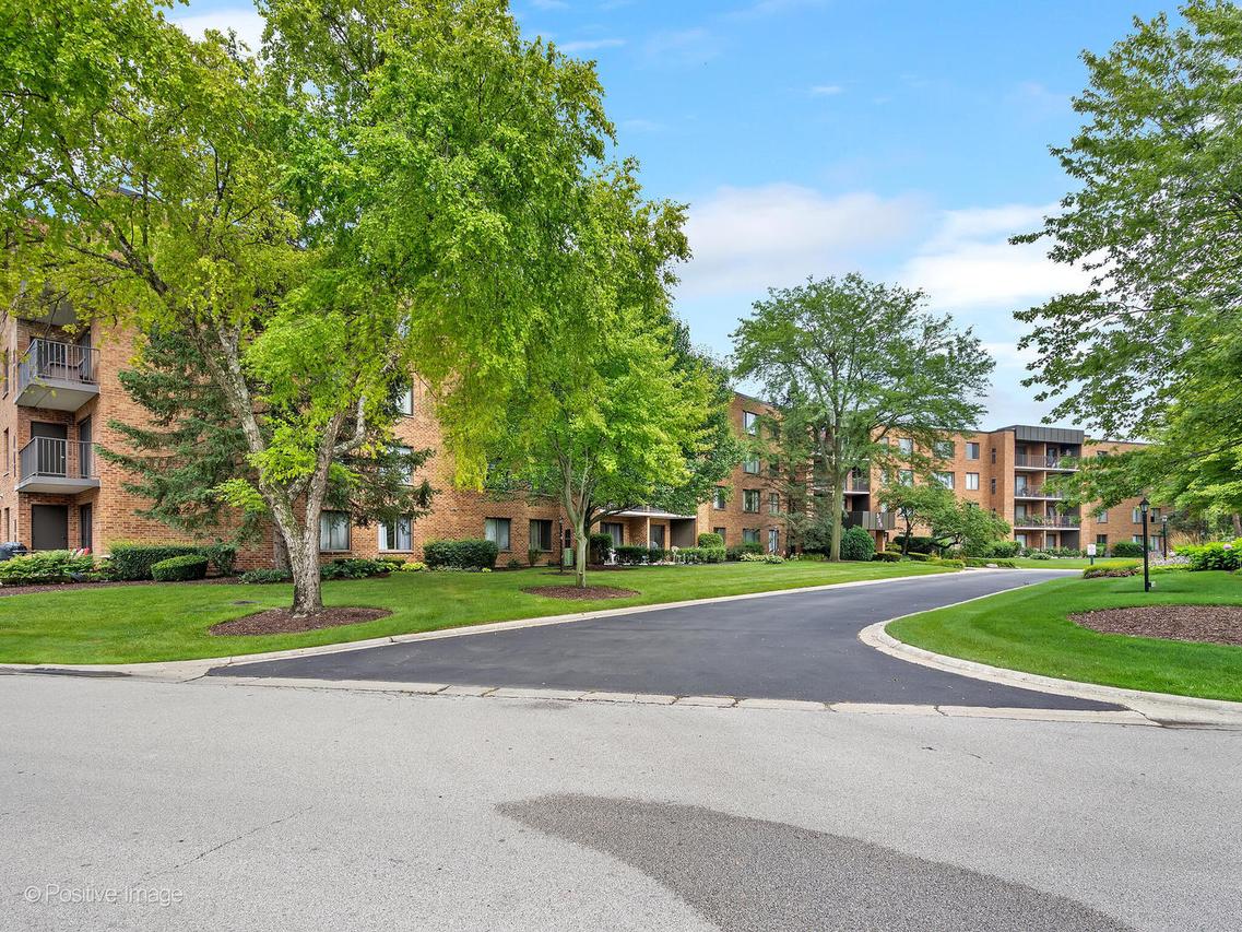 950 E Wilmette Rd. #220, Palatine, IL 60074