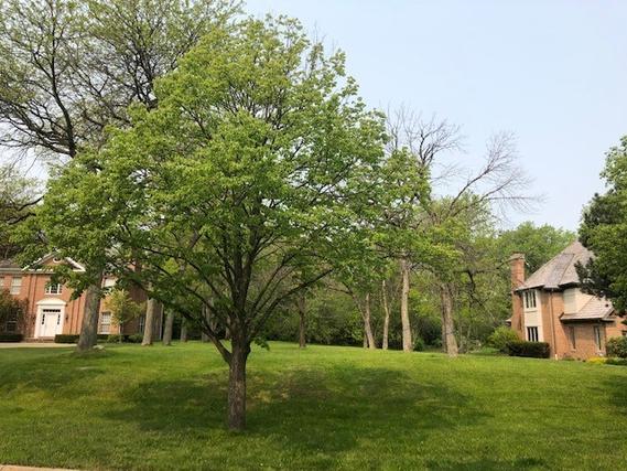 1080 Sir William Ln., Lake Forest, IL 60045