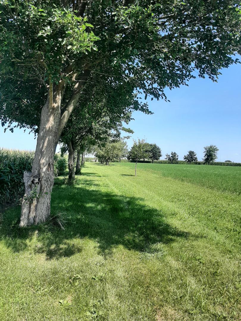 0000 N 4350th Rd., Sheridan, IL 60551