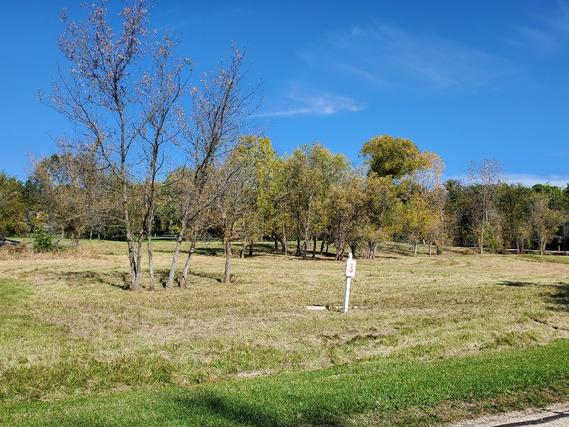 Lot 3 W Schlosser Ct., Wadsworth, IL 60083