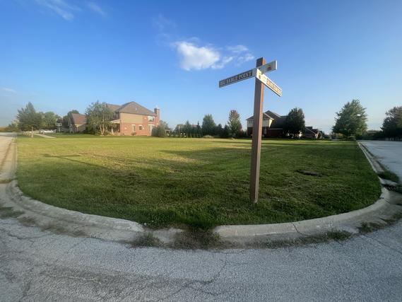 9093 Big Sable Point, Frankfort, IL 60423