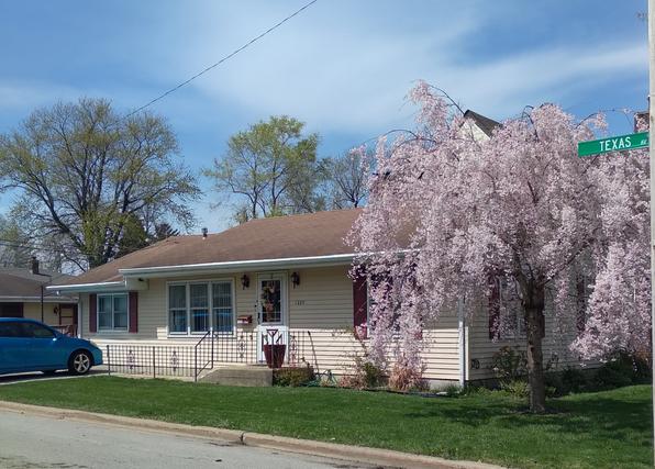 1225 Texas Ave., Joliet, IL 60435