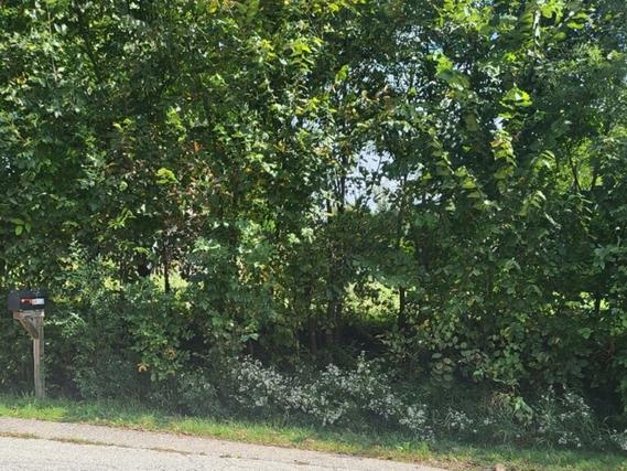 6N041 Kenney Rd., Roselle, IL 60172