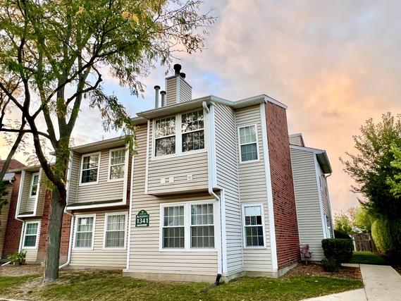 1341 E Wyndham Cir. #102, Palatine, IL 60074
