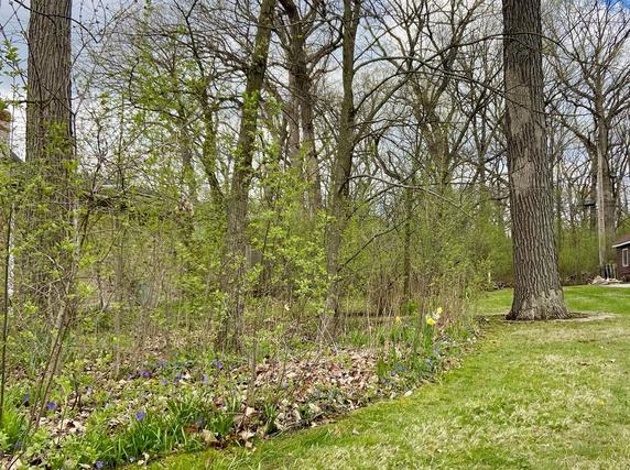 910 N Brainard Ave., La Grange Park, IL 60526