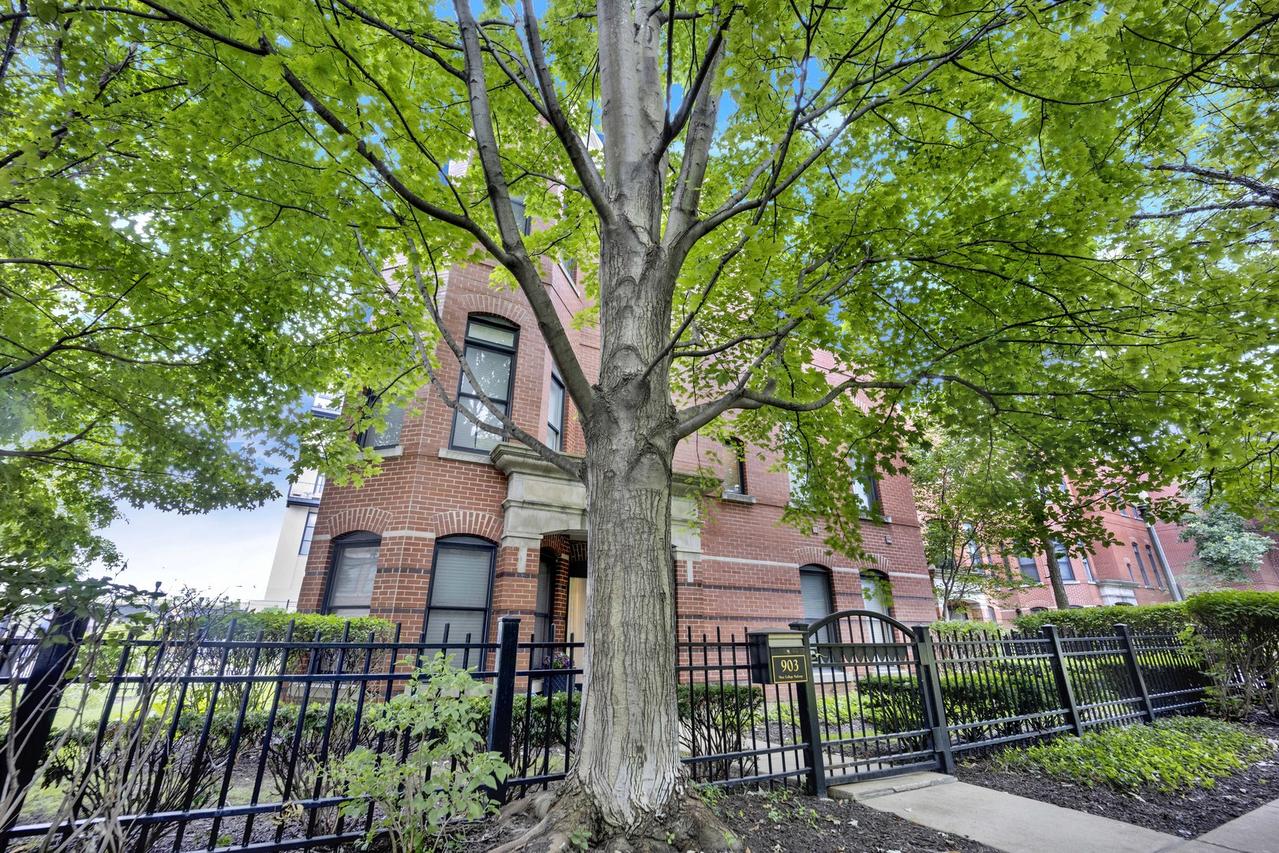 903 W College Pkwy., Chicago, IL 60608