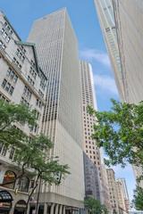 100 E Walton St. #32C, Chicago, IL 60611