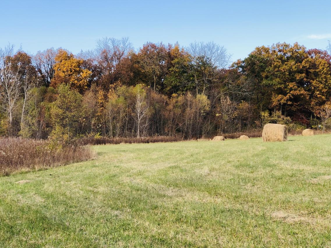 3114 Millstream (lot 1) Rd., Marengo, IL 60152