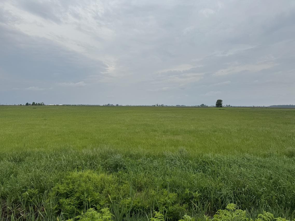 375 N 9000w Rd., Bonfield, IL 60913