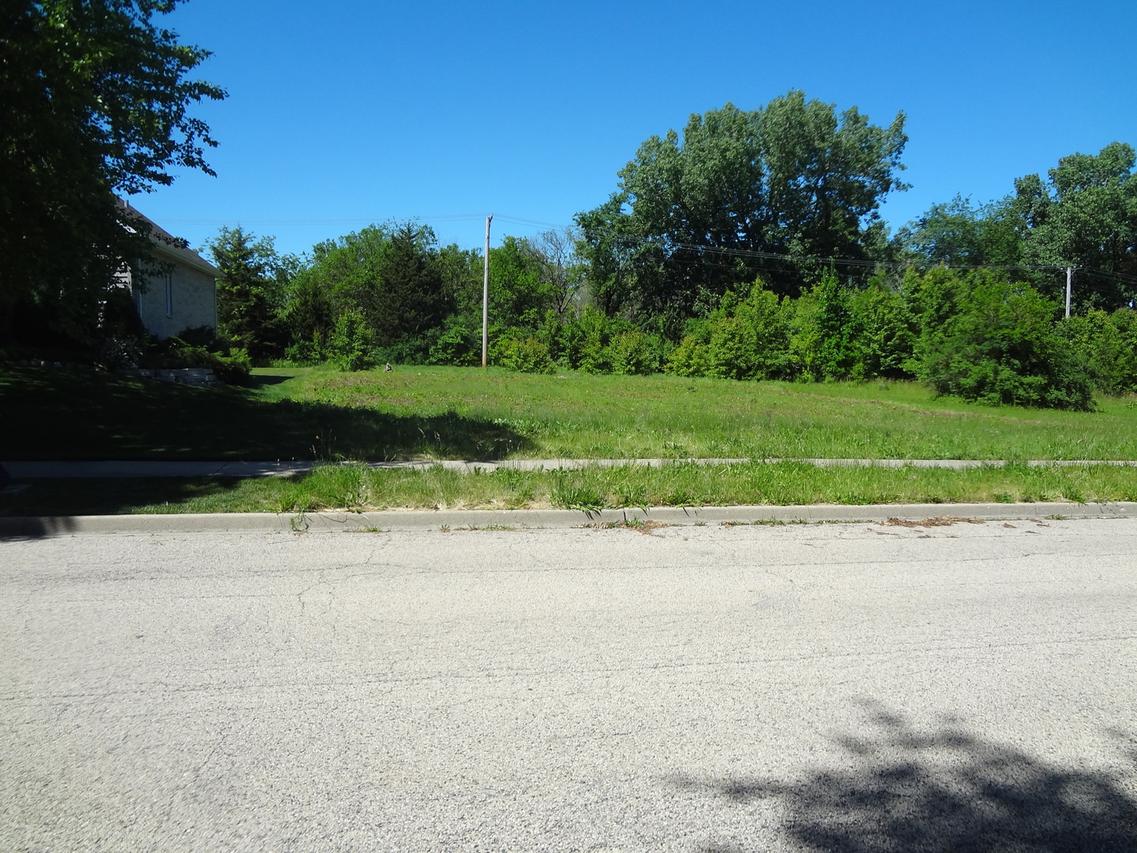 1042 Chateau Bluff Ln., West Dundee, IL 60118