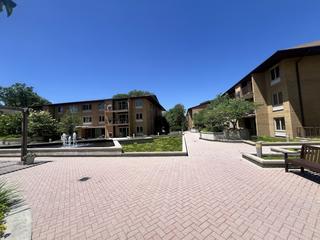 2500 W Talcott Rd. #206, Park Ridge, IL 60068