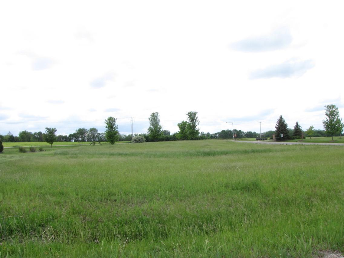 LOT 1 Rose Hill Ln., Yorkville, IL 60560