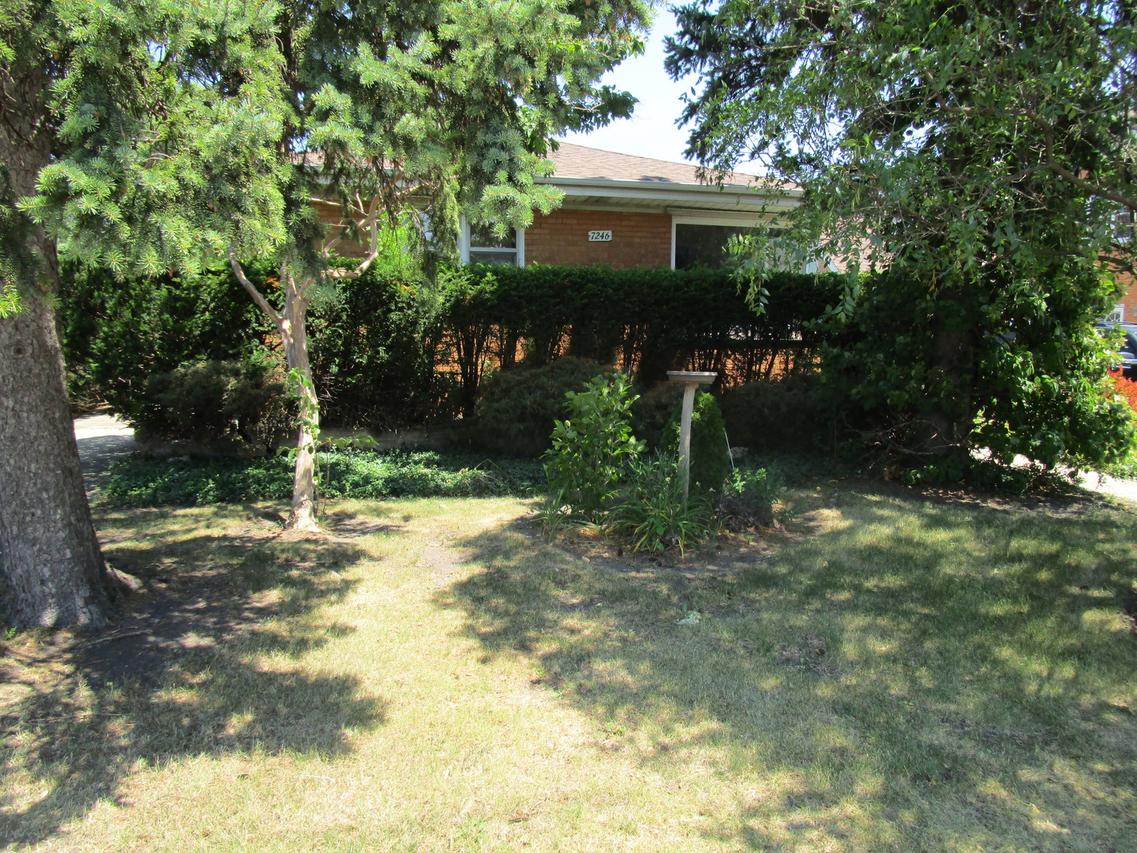 7246 W Oakton St., Niles, IL 60714