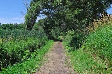 561 N Triumph Ct., Hainesville, IL 60073