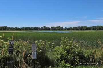 561 N Triumph Ct., Hainesville, IL 60073