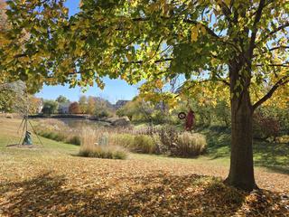 1330 Danada Ct., Naperville, IL 60563