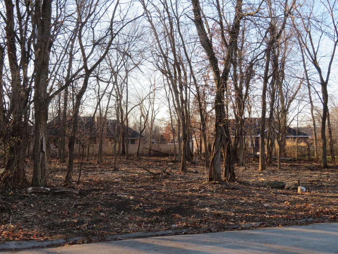 Lot 58 Timber Edge Dr., Morris, IL 60450