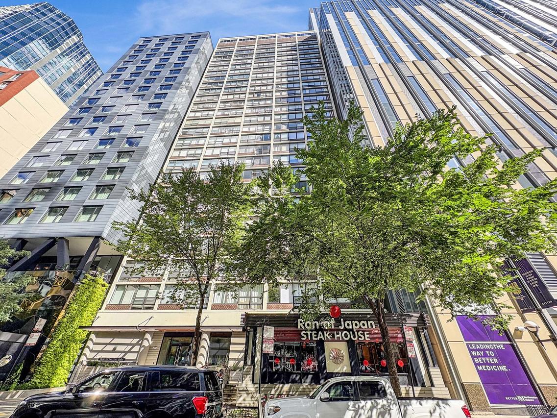 230 E Ontario St. #1204, Chicago, IL 60611