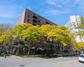 3900 N Pine Grove Ave. #214, Chicago, IL 60613