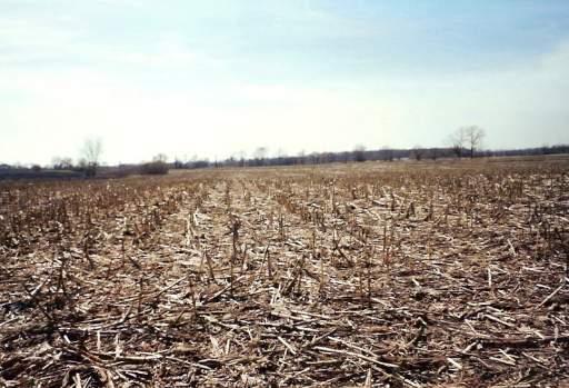 31W255 Roosevelt Rd., West Chicago, IL 60185