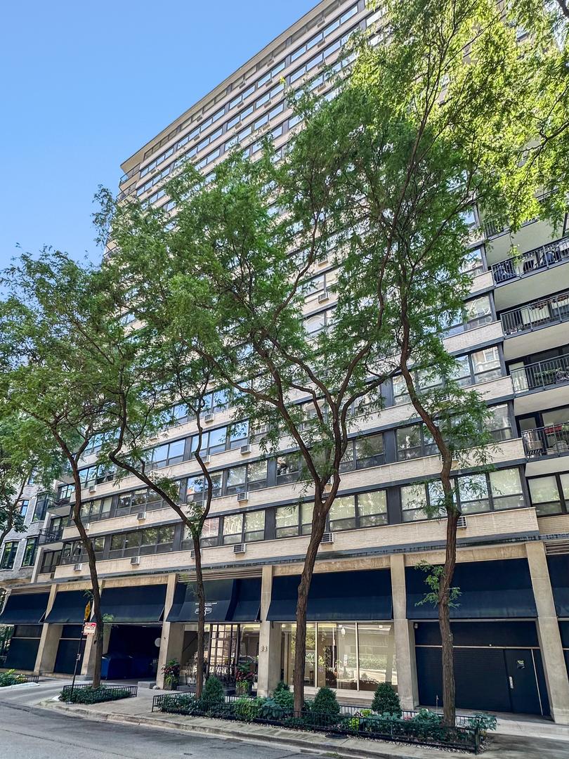 33 E Cedar St. #15H, Chicago, IL 60611
