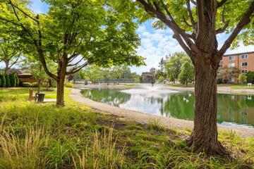 1117 S Old Wilke Rd. #408, Arlington Heights, IL 60005